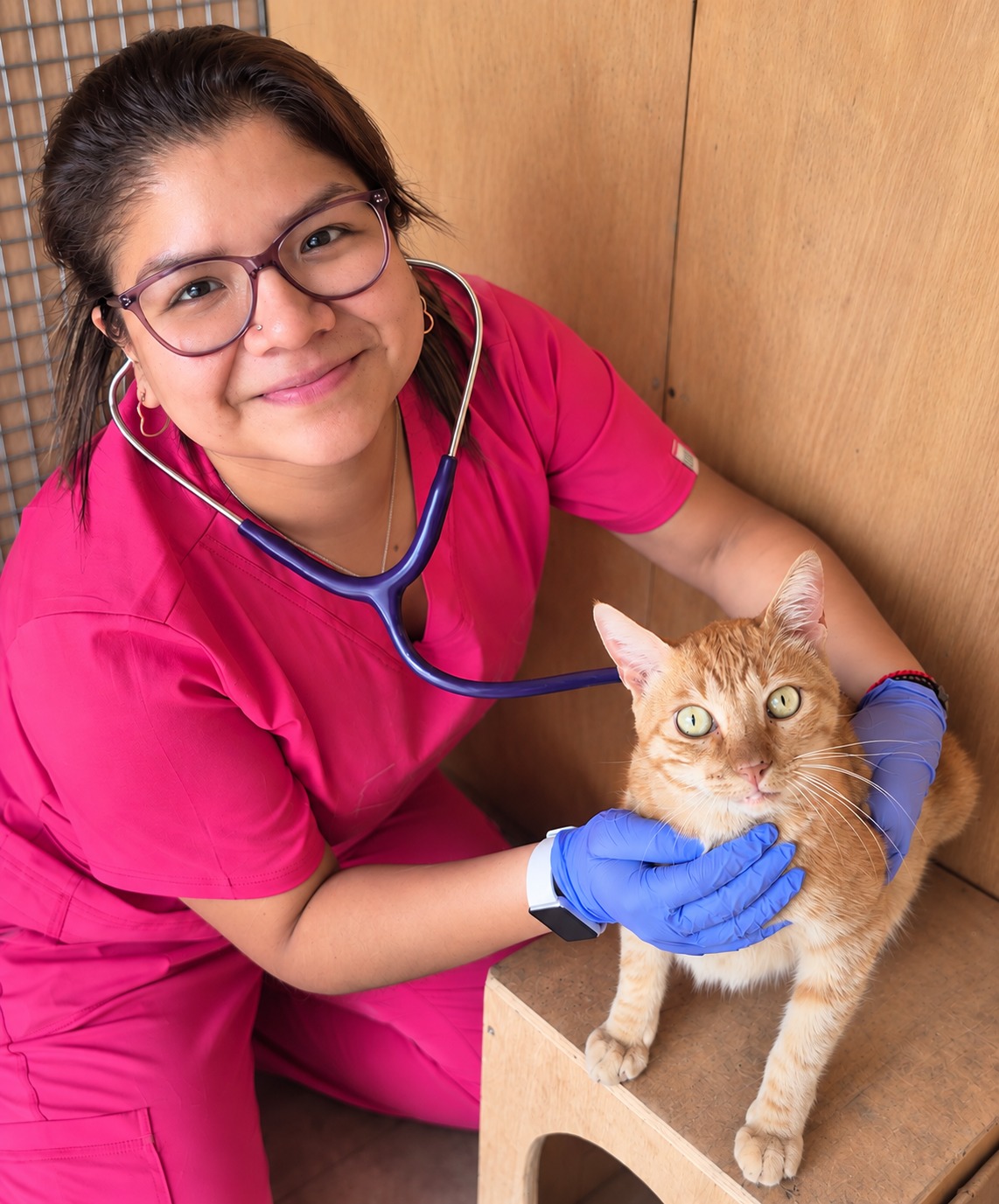 Denis Medina junto a un gato naranja
